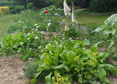 ecologische pluktuin alken